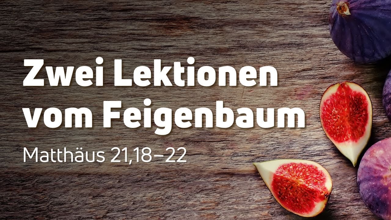 Matthäus 21,18–22 | Zwei Lektionen vom Feigenbaum | Daniel Diestel