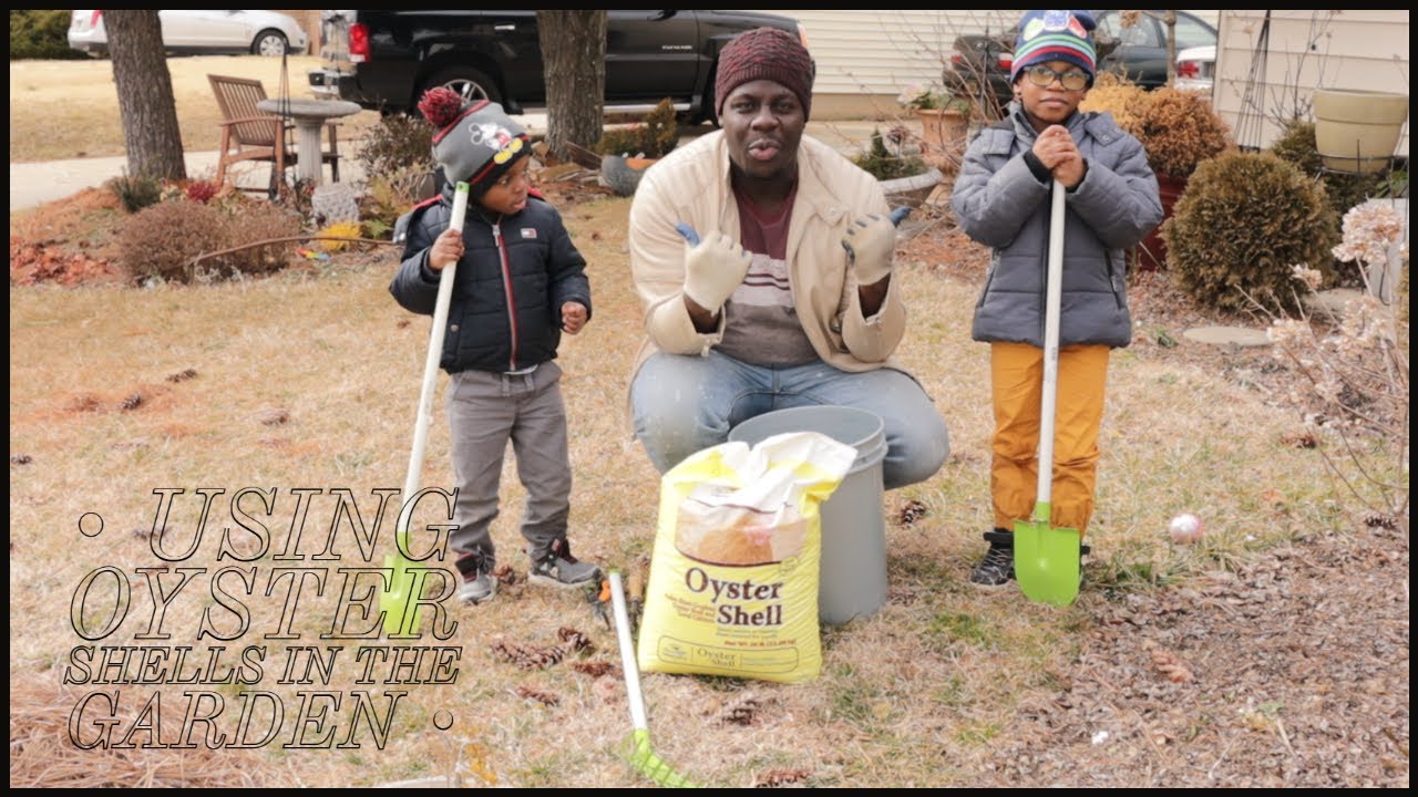How to Use Oyster Shells in the Garden & Gardening With My Kids!| Jhuly's Aquatics & Gardening