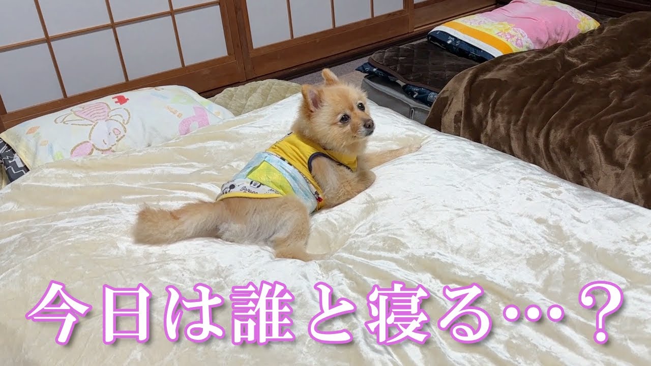 【検証】家族で一番誰が好きなのか検証してみました！