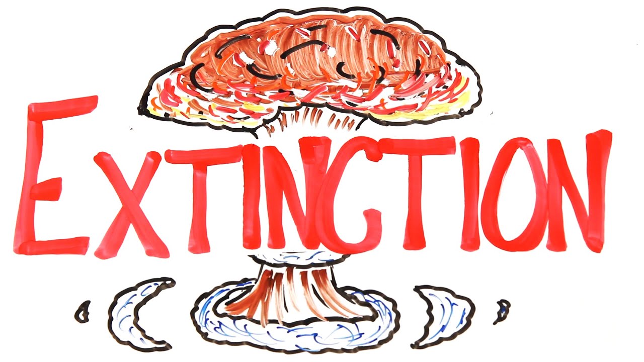 The 6 Craziest Extinctions Ever
