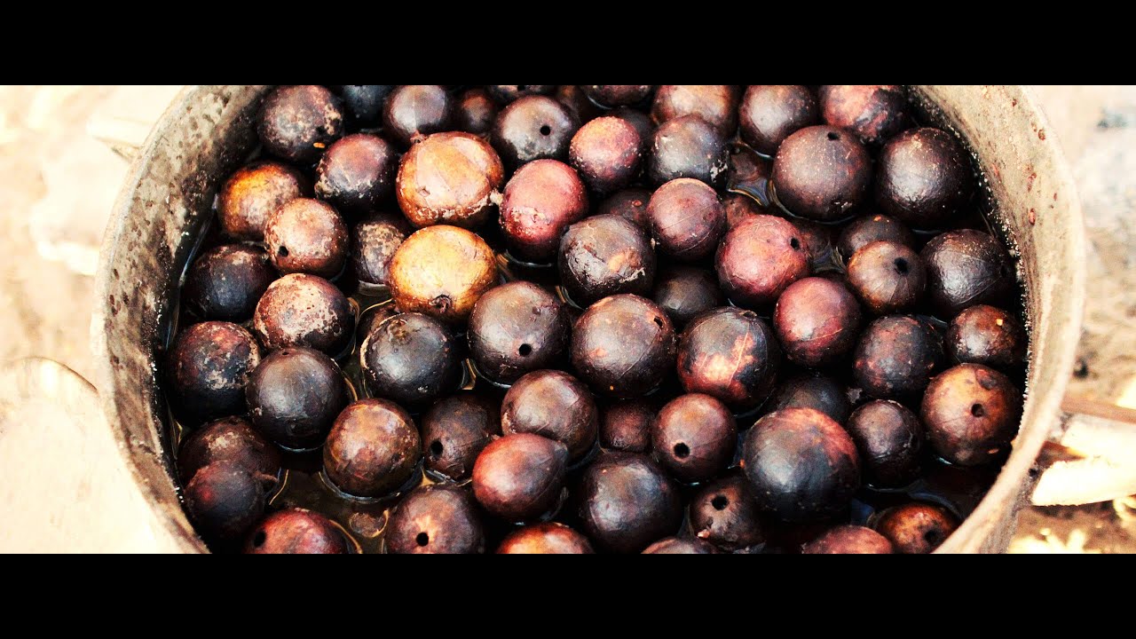 Waa Casamance  - Searching For Fresh Asalato