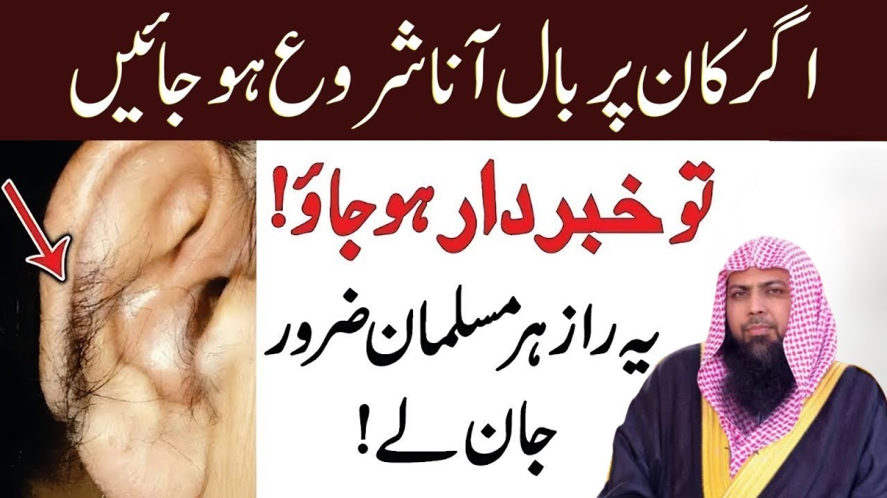 Meaning of hair on ears | What is the reason for hair on ears? | Sohaib Ahmad Meer Muhammadi