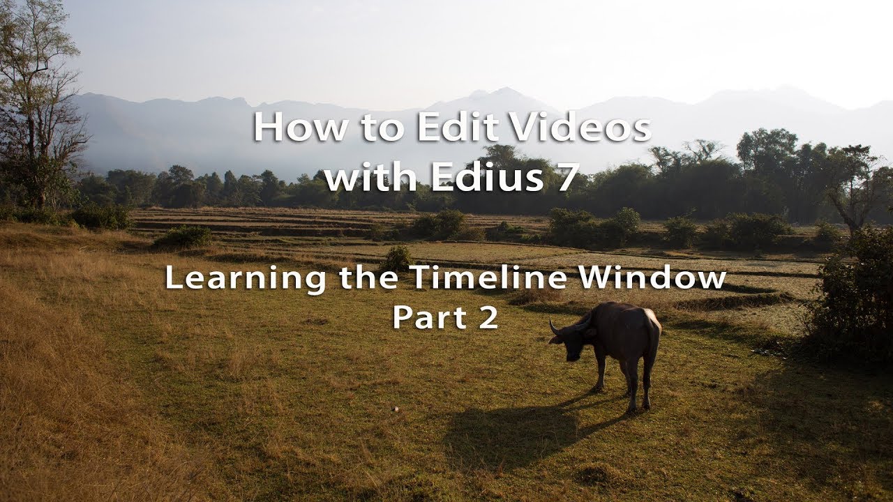 How to Edit Videos with Edius 7- Lesson 16: Learning the Timeline Window - Part 2