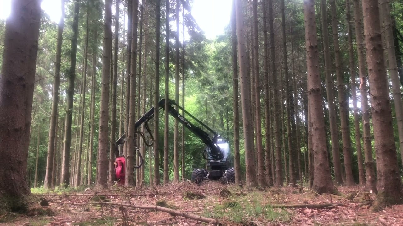 Silvatec sleipner med Sp 661