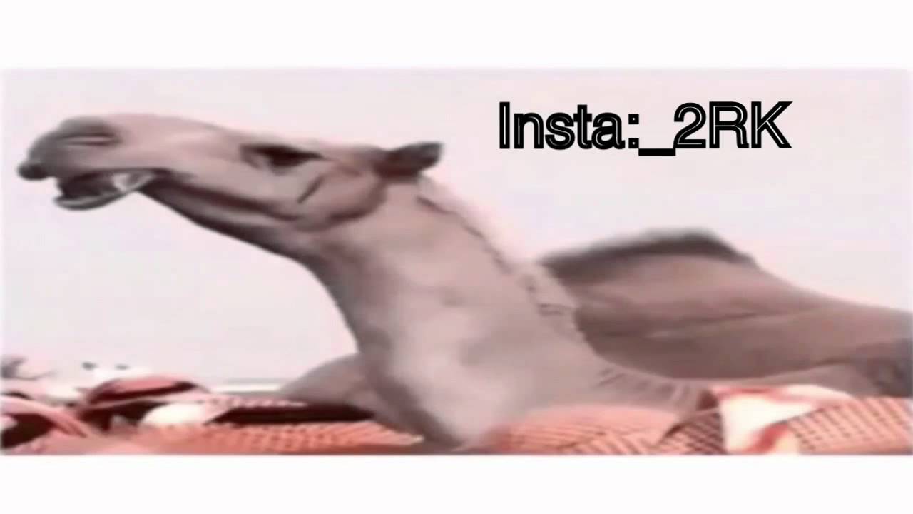 فردي جلاده - ادا : حمد الطويل