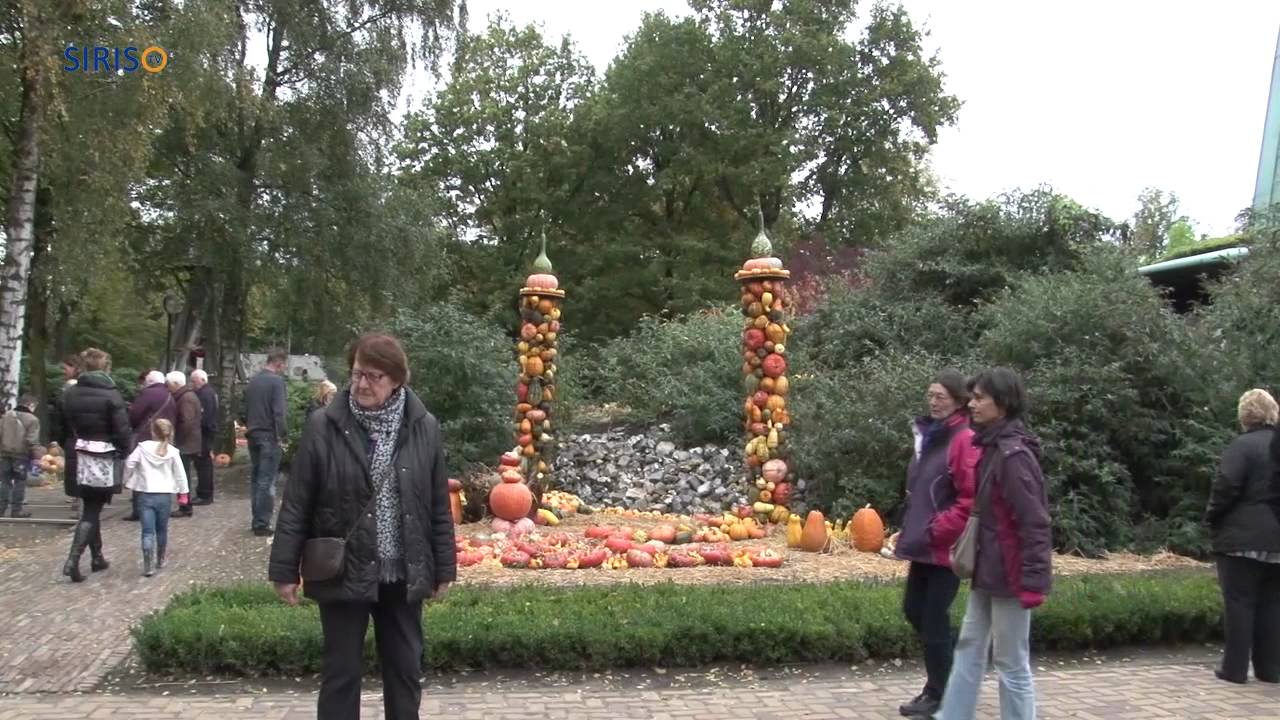 Pompoendagen in Klok & Peel Museum Asten
