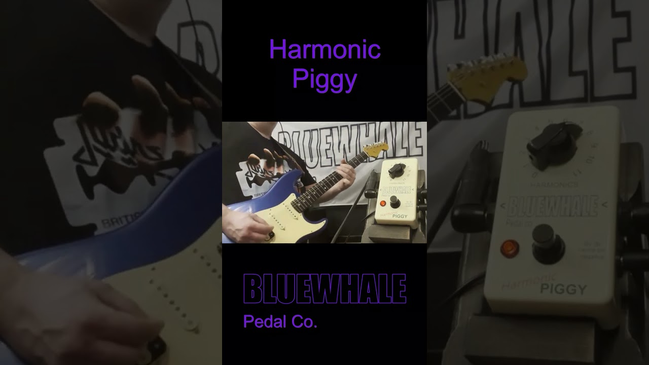 Harmonic Piggy 3