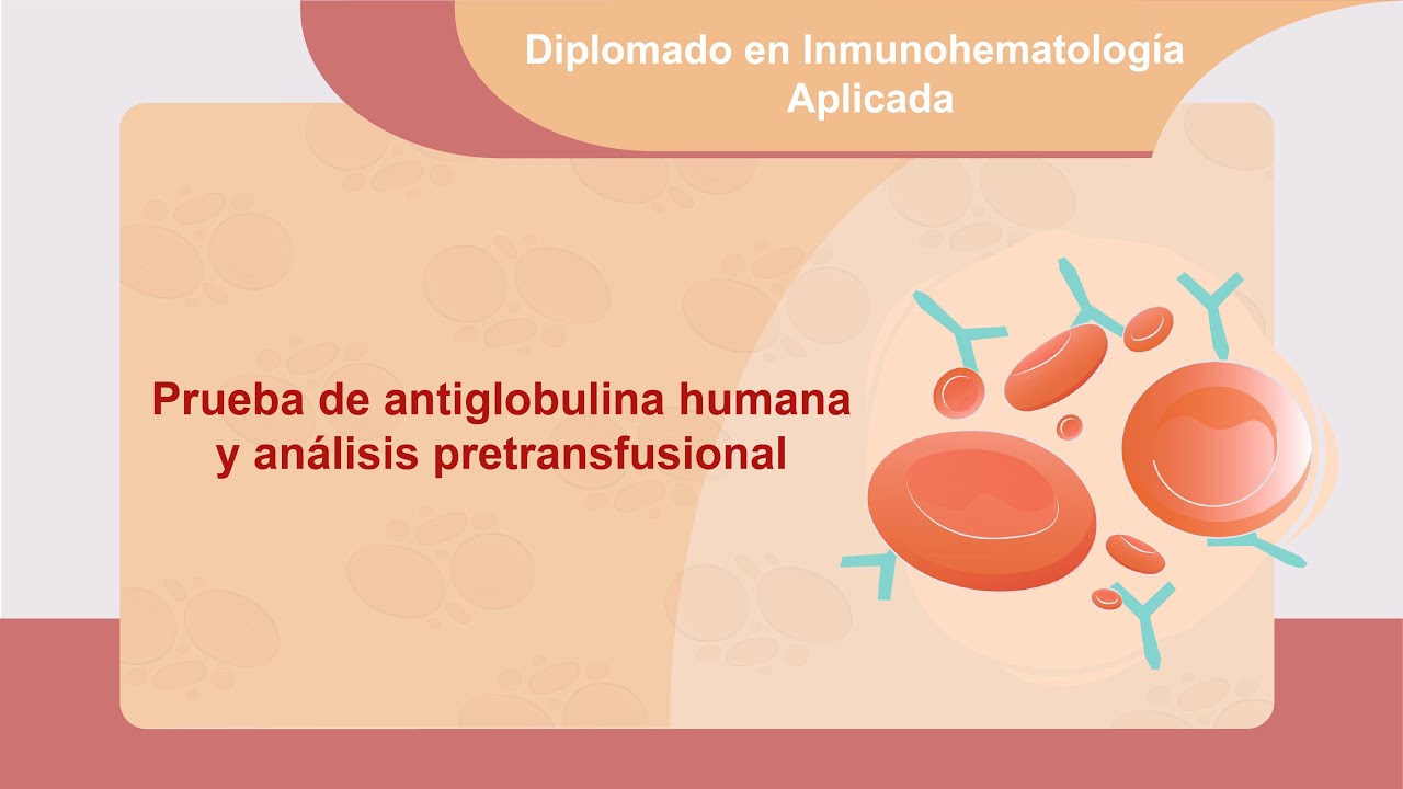 Prueba de antiglobulina humana y análisis pretransfusional