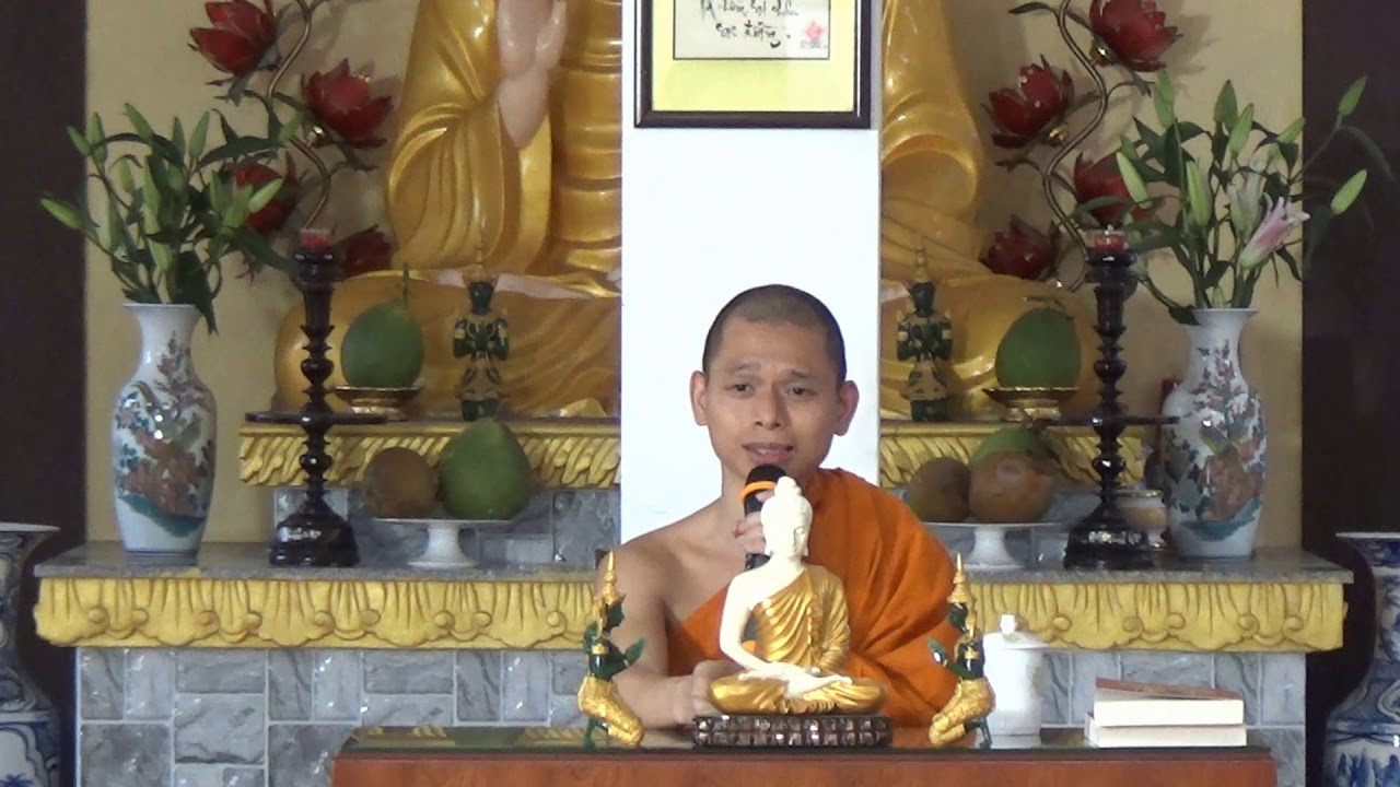 Tùy niệm Phật (bài 29) Satthā devamanussānaṃ buddho - sư Hạnh Tuệ