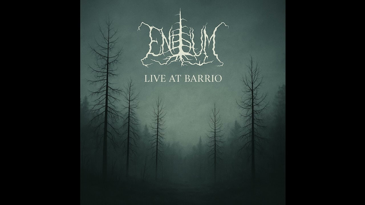 Enisum - Pure sadness (live 2024 | El Barrio, Torino)