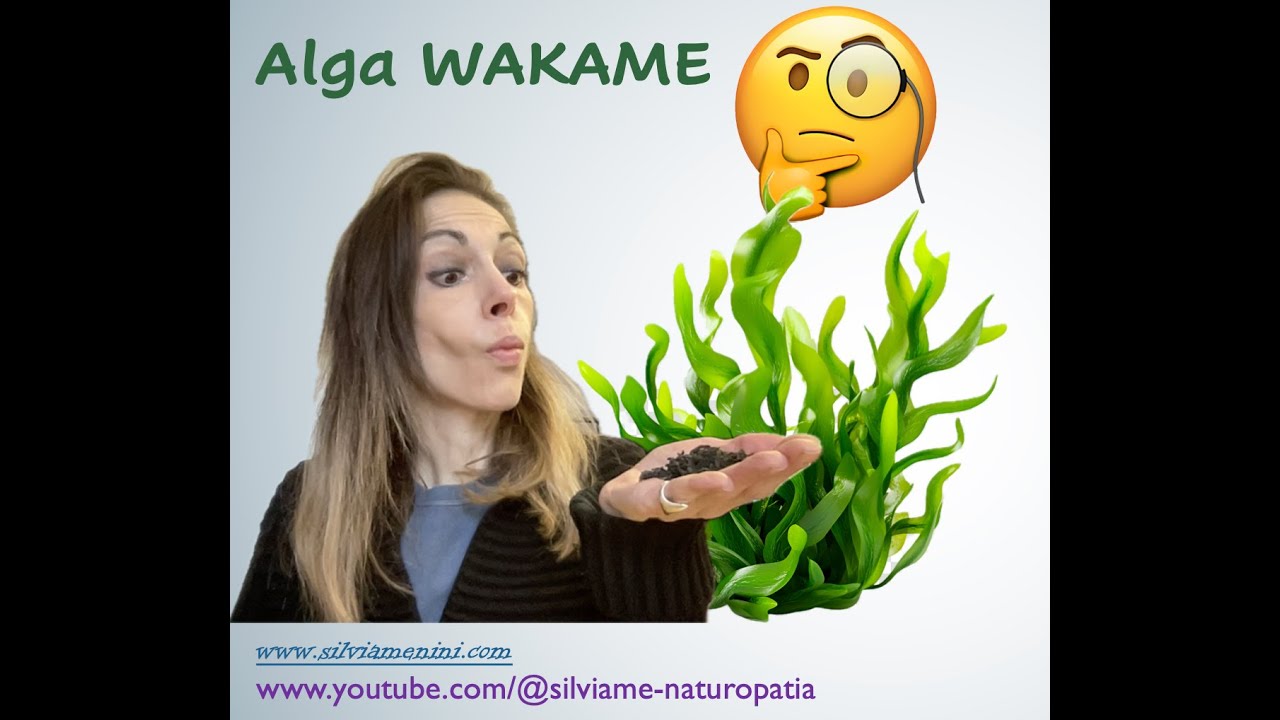 Tutte le proprietà dell'alga WAKAME