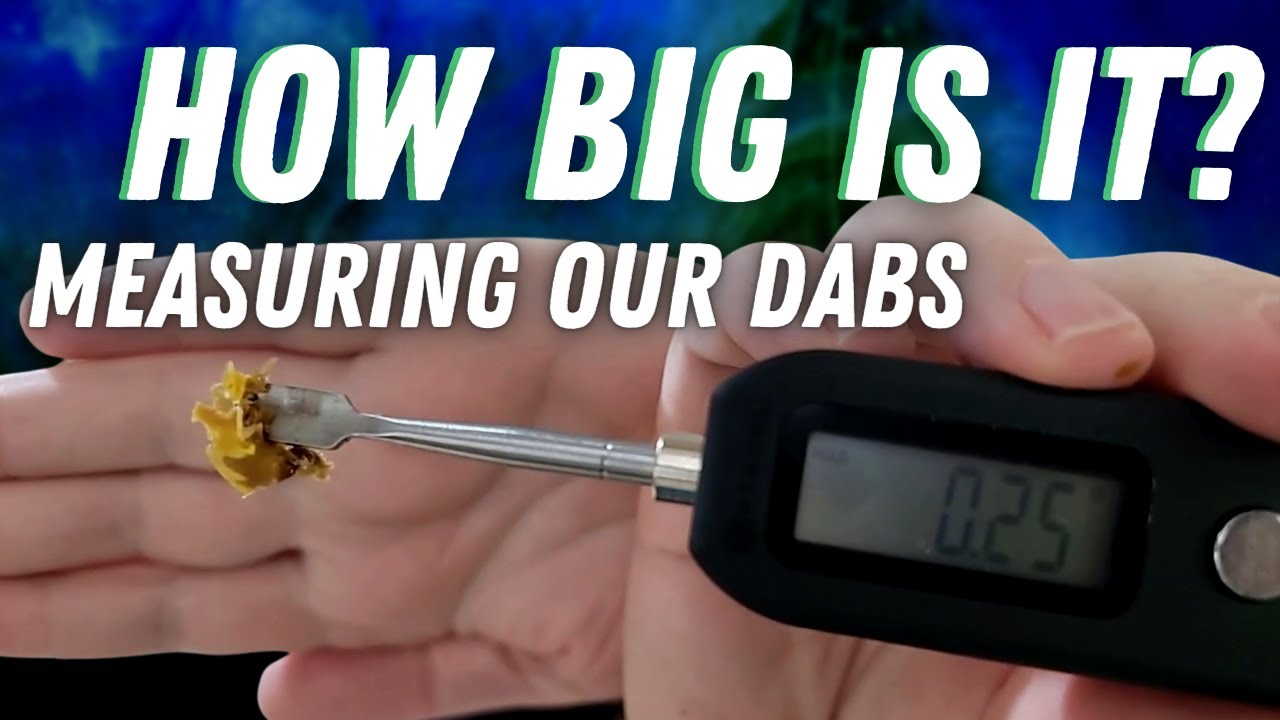 How big do YOU DAB? // Average Dab Sizes