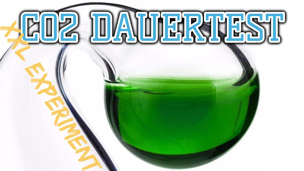 Co2 Dauertests für dein Aquarium | Praxistest Co2