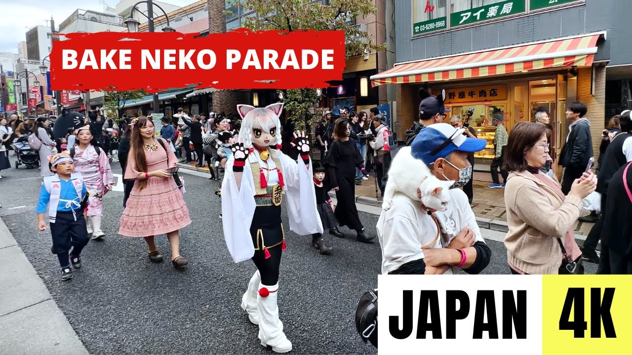 TOKYO, JAPAN 🇯🇵 [4K] BAKE NEKO Parade — SUPERNATURAL CAT Festival — OCTOBER 2023