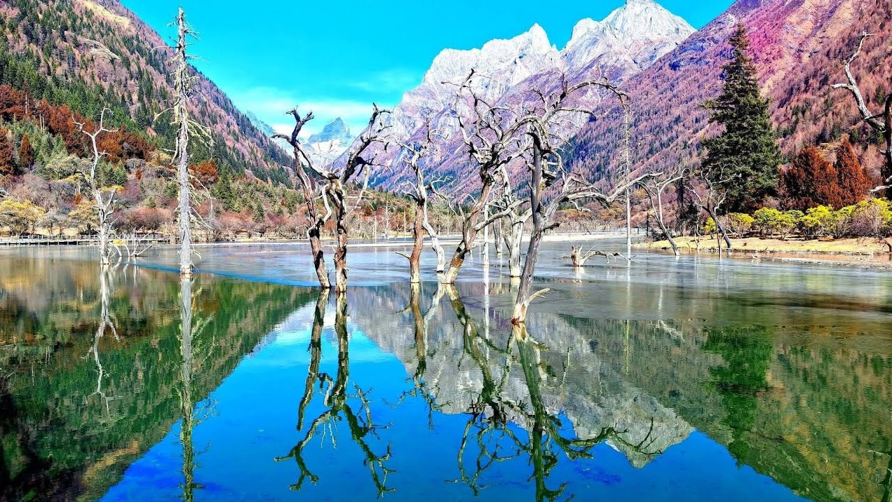 2025川西回忆录｜雪山、草原、风和自由，都被时间收藏了🗻🌿🍃⏳🤍