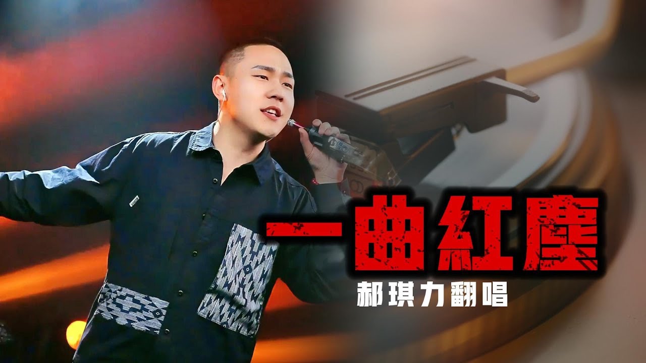 郝琪力 - 一曲红尘「谁把化蝶写成碑谁在千年等一回」#djsong #人声低音炮