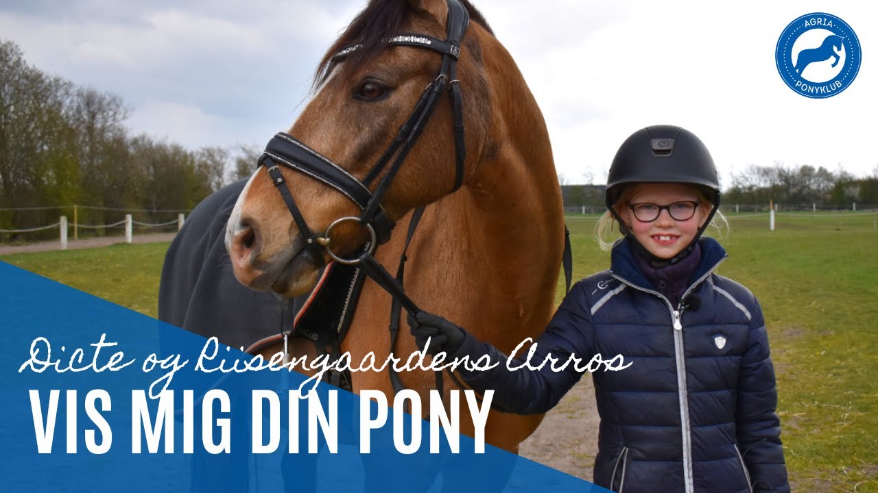 Vis mig din pony: Dicte og Riisengaardens Arros