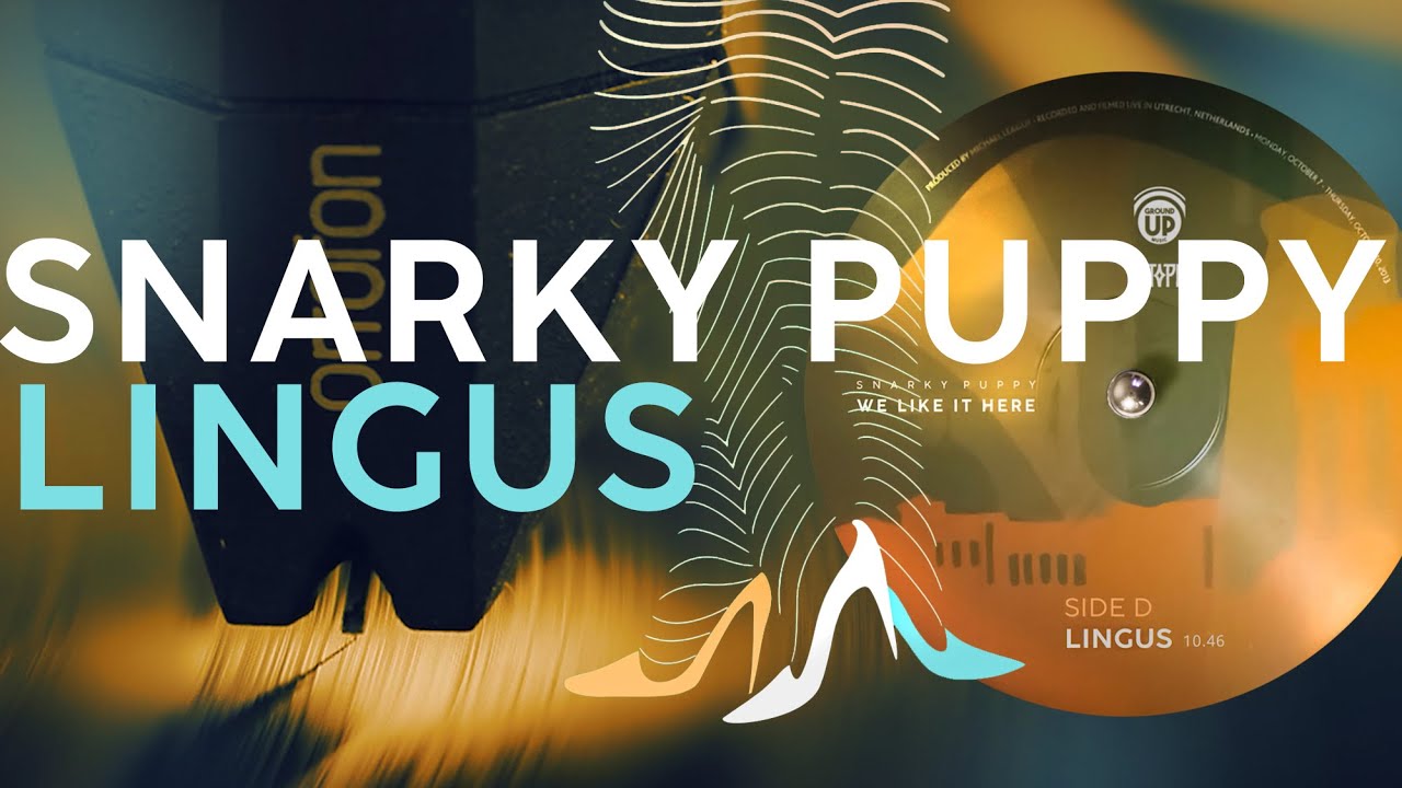 Snarky Puppy / Lingus / vinyl 💎/ Ortofon 2MBlack + Pioneer SX1980