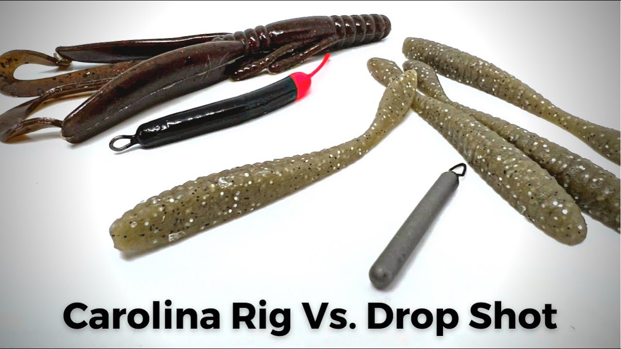 The Drop Shot Rig or Carolina Rig? Which Is Better?
