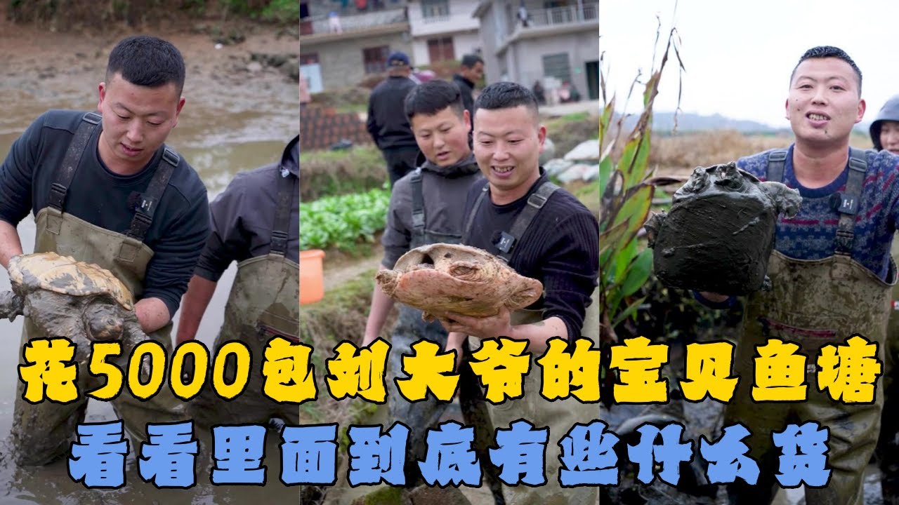 花5000元包下刘大爷家的宝贝鱼塘，看看里面到底有些什么货？#户外抓鱼 #户外捕鱼 #小飞哥抓鱼 #乡村生活 #农村生活