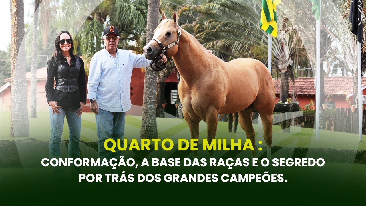 PRODUZ - EP. 33 | Quarto de Milha: Conformação, base da raça, segredo por trás dos grandes campeões