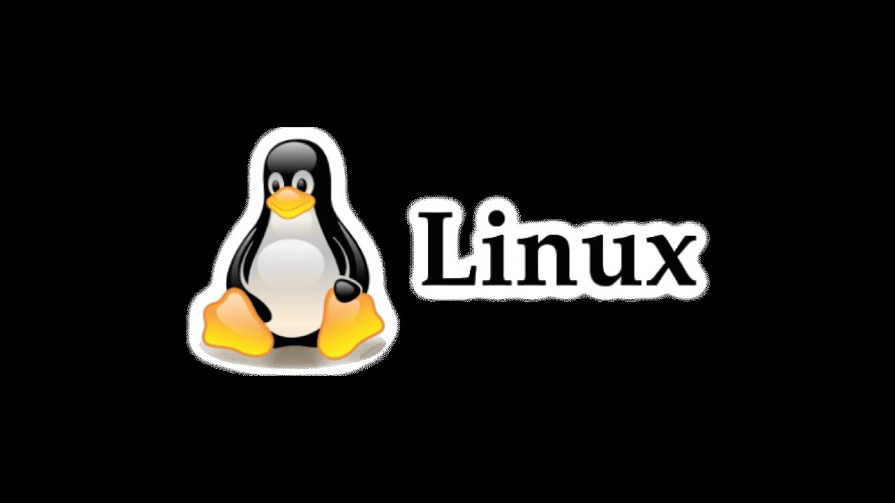 Zorin os virtualization