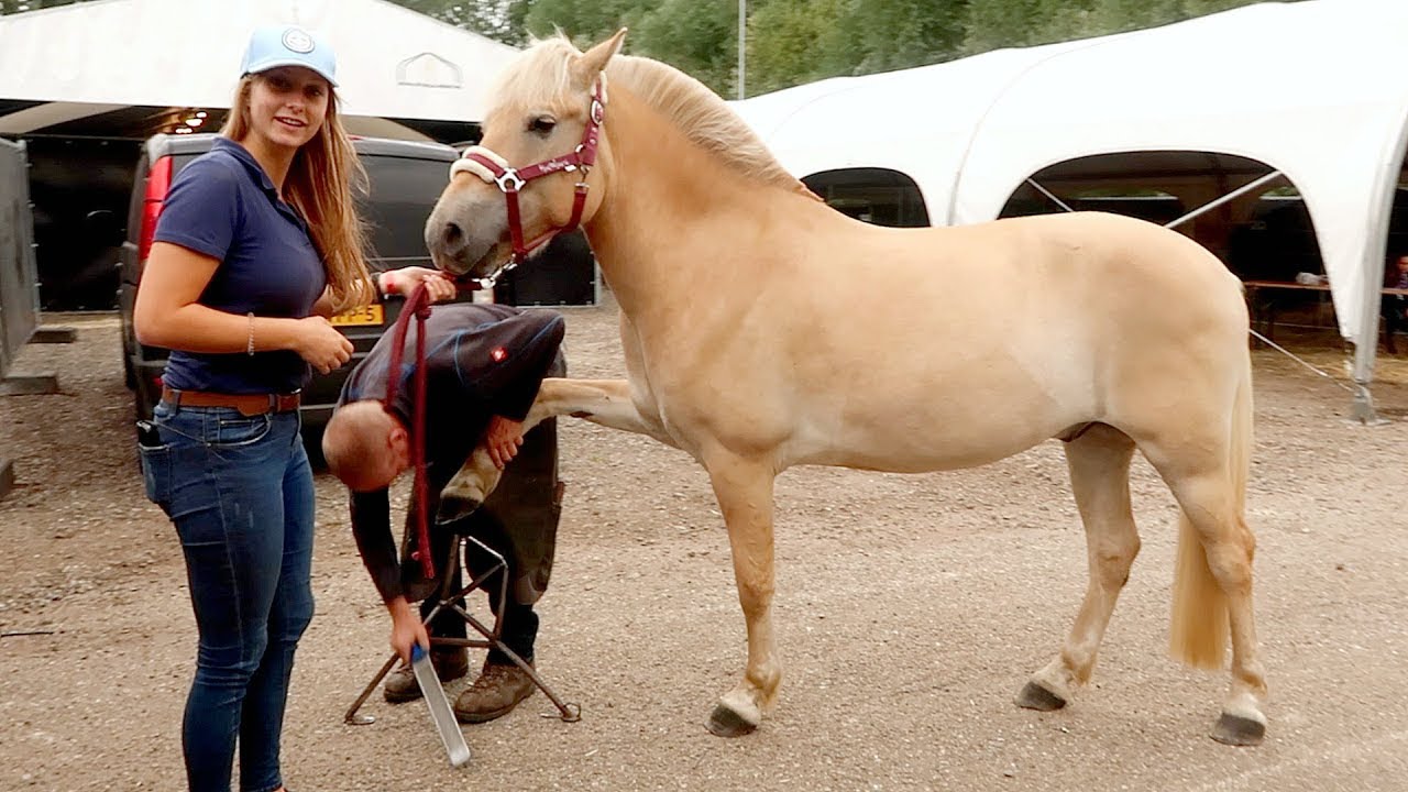 De hoefsmid komt met spoed naar Horse Event! | Vlog #118