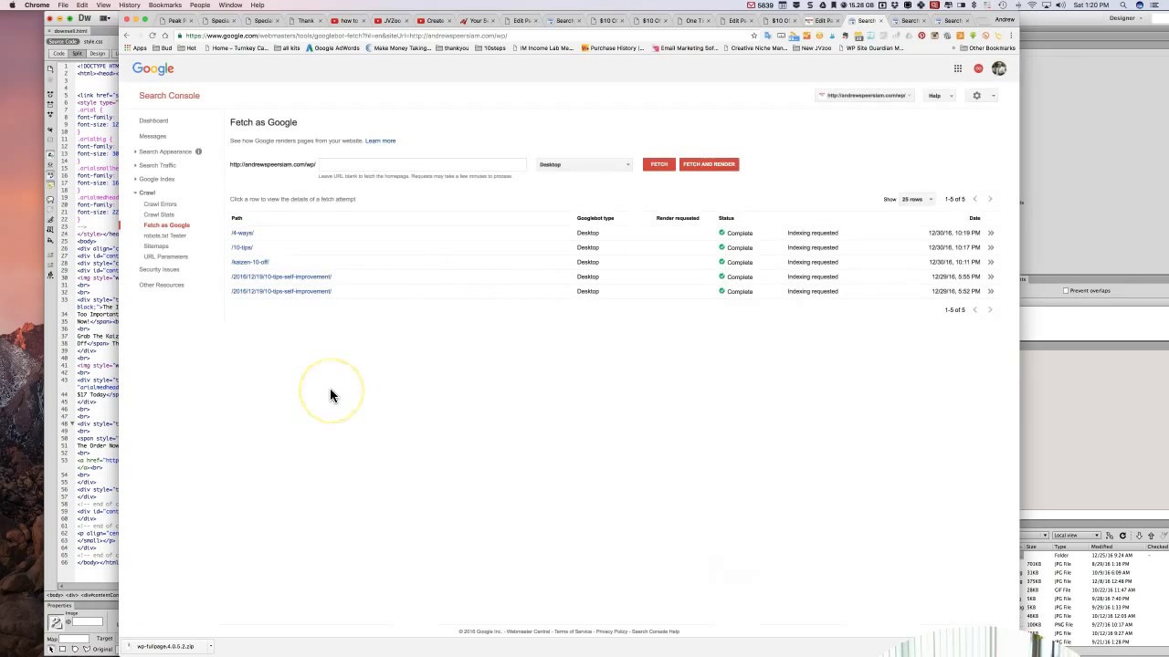 Rapid SEO indexer