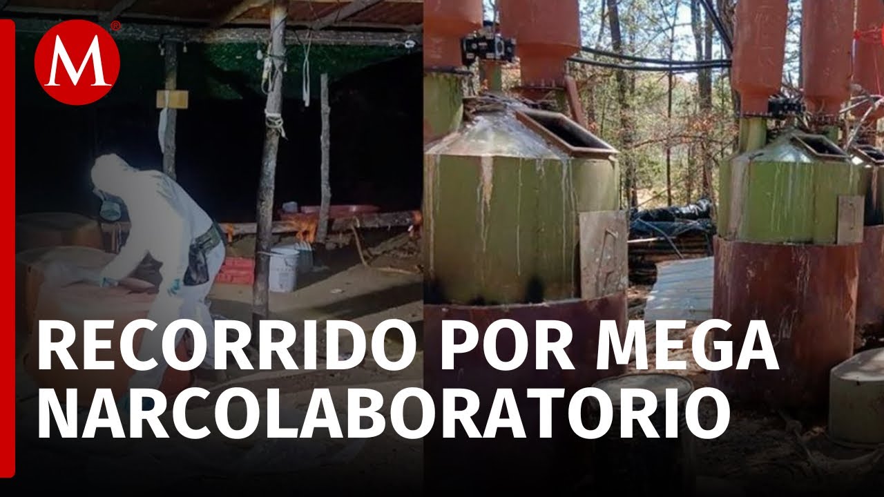Marina desmantela un narcolaboratorio de 39.5 hectáreas en Zacatecas