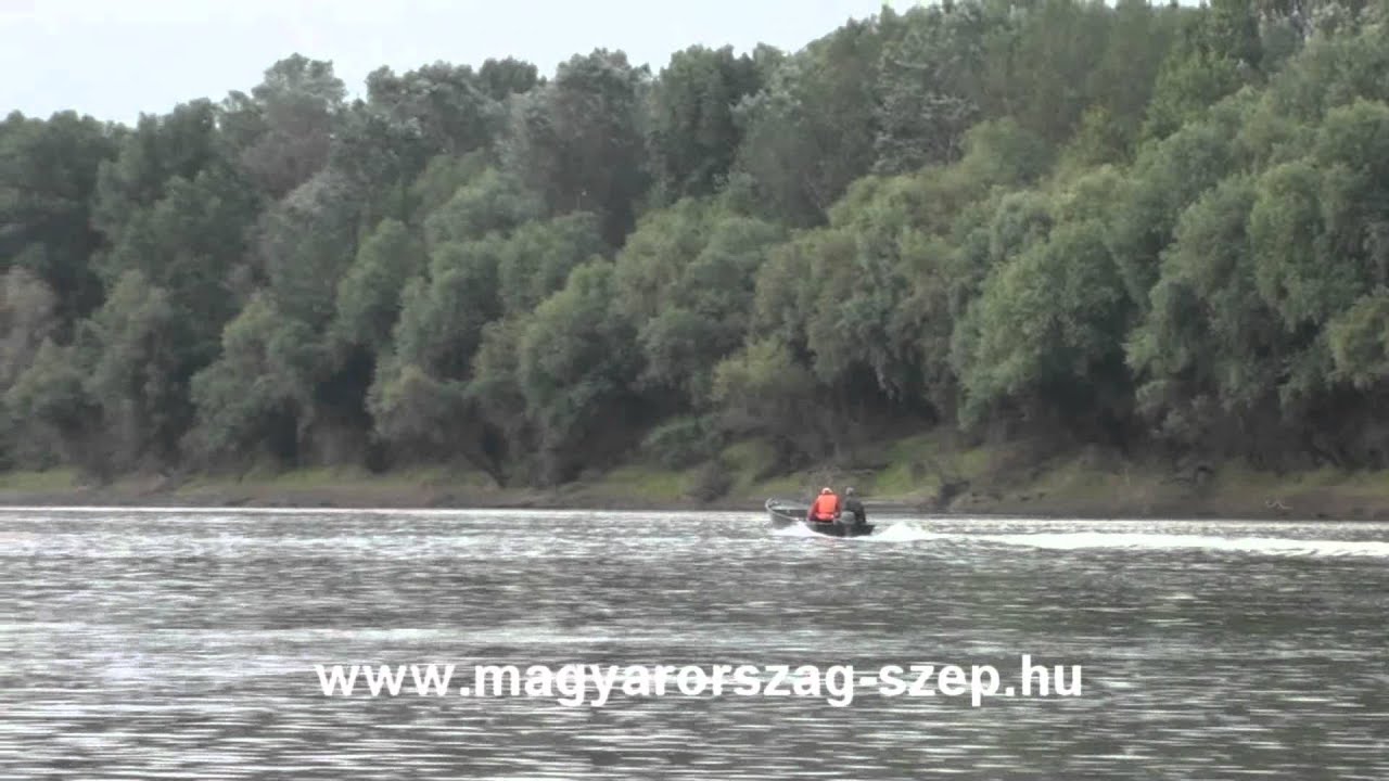 Tiszavir&aacute;gz&aacute;s k&eacute;r&eacute;sz rep&uuml;l&eacute;s Nagyk&ouml;rű 2011 HD