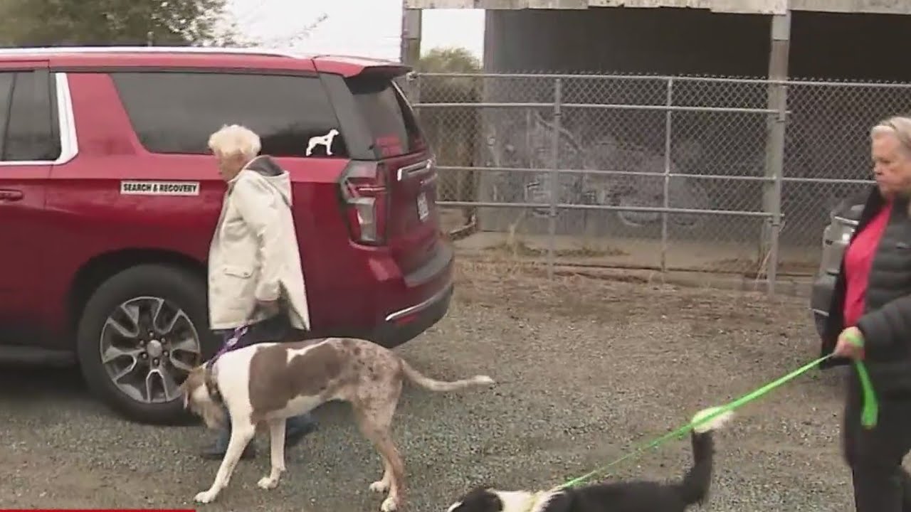 Search and recovery efforts underway for murdered Yolo County teenagers