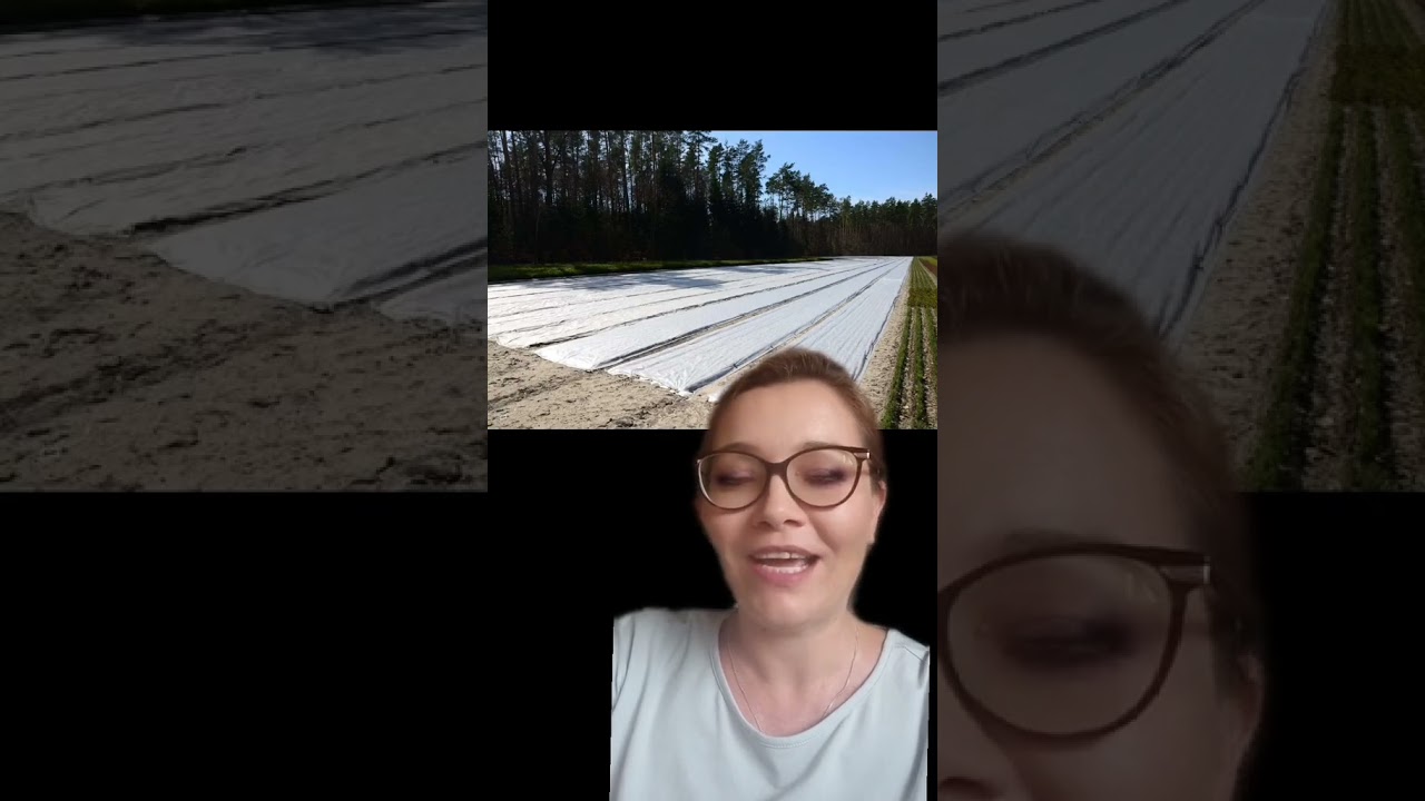 Solaryzacja - alternatywa dla uciążliwego przekopywania działki i glifosatu #zakładamogr&oacute;d