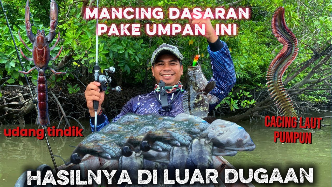 UMPAN JITU,❗️❗️mancing dasaran menggunakan umpan PUNPUM dan UDANG TINDIK emang gacorr
