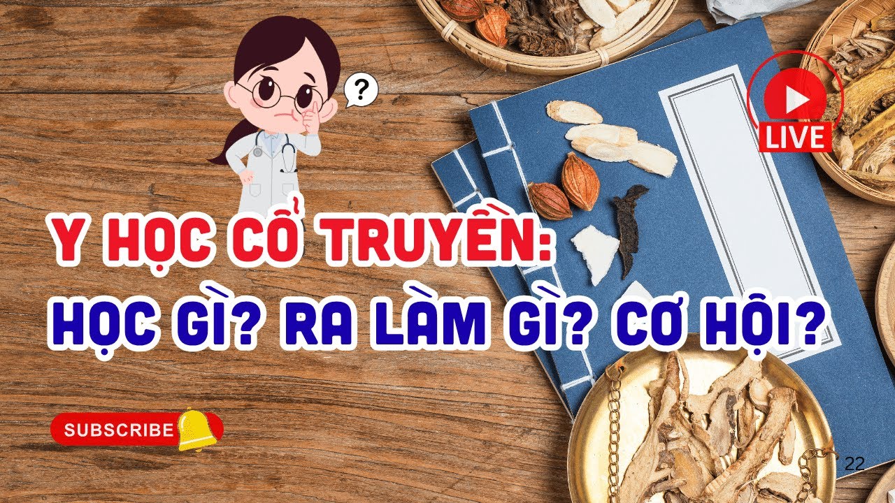 Y Học Cổ Truyền Học Gì? Ra Làm Gì? Cơ Hội Việc Làm & Lộ Trình Học Tập 2025