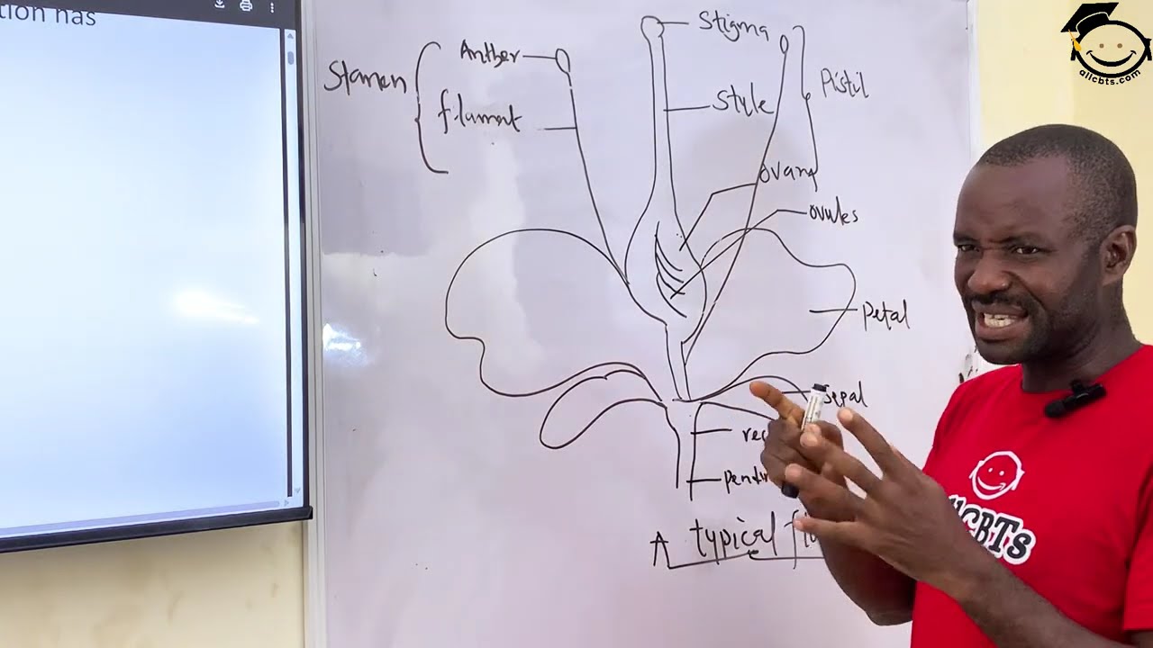 Biology: Reproduction In Flowering Plants | All you need to know