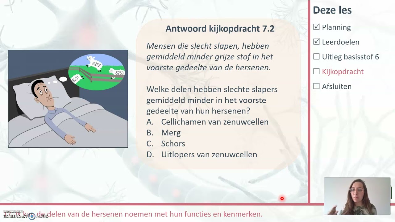 Basisstof 7: de hersenen.