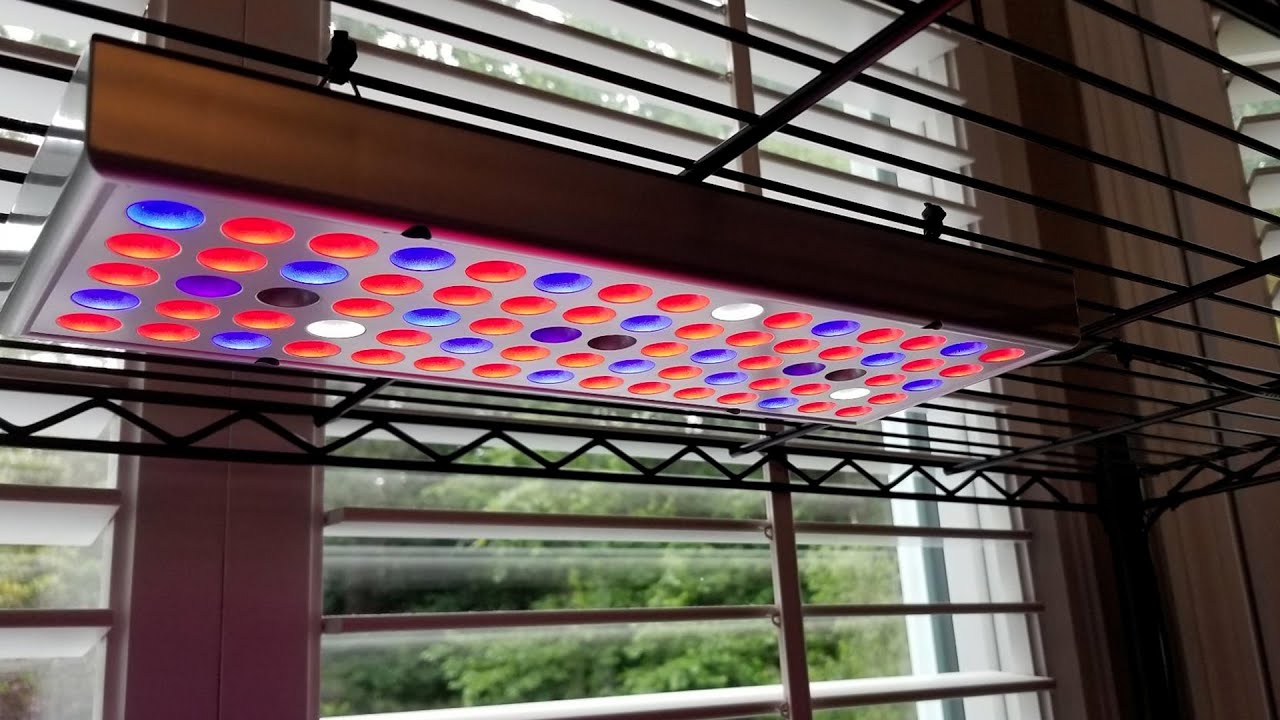 Juhefa LED Grow Lights Review: Should You Buy It? [2025]
