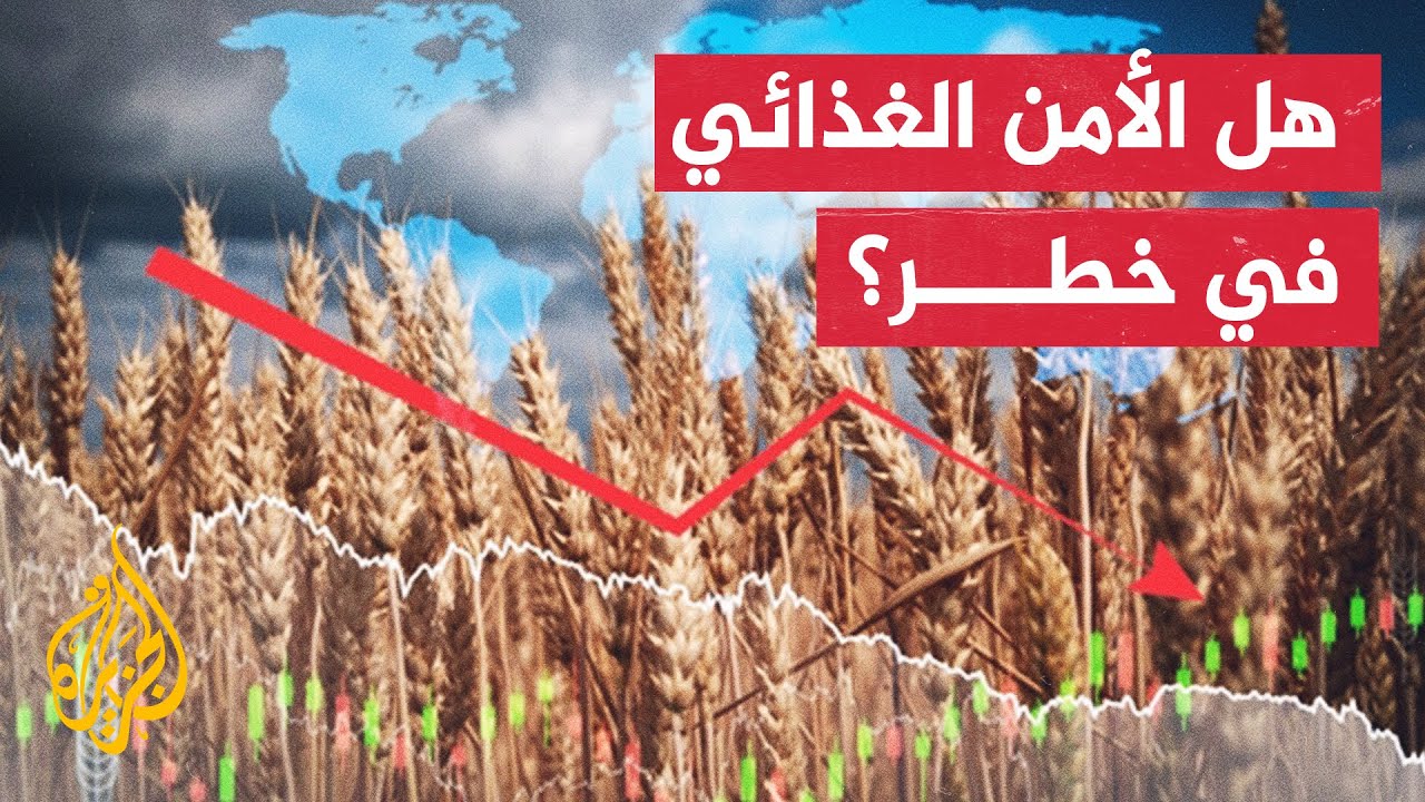 تداعيات تعليق روسيا اتفاقية الحبوب الأوكرانية على الأمن الغذائي العالمي
