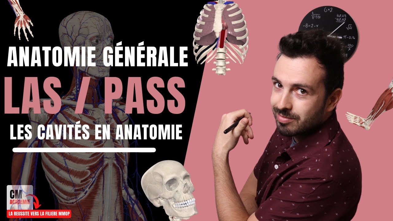 ANATOMIE GENERALE 🦴 : Les cavités (crânienne, spinale, thoracique, abdominale, pelvienne)