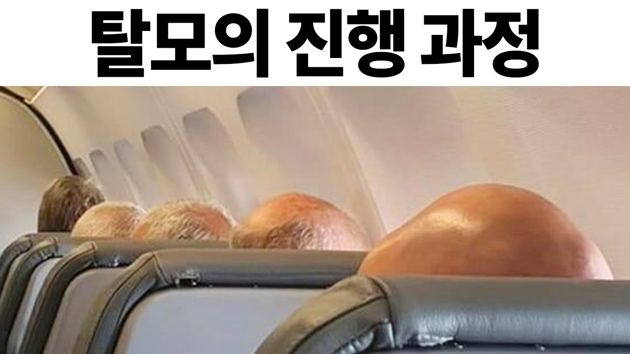 웃긴 짤 모음 511편