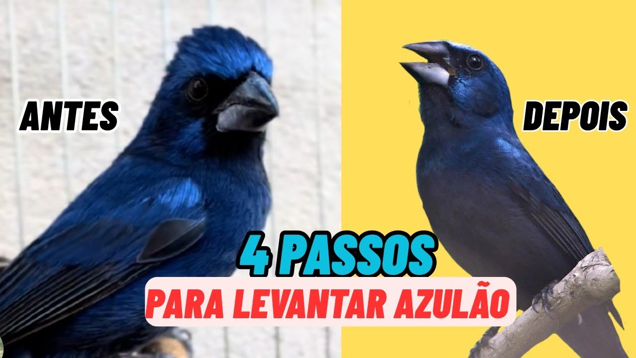 4 passos para levantar e abrir canto de uma azul&atilde;o frio gelado
