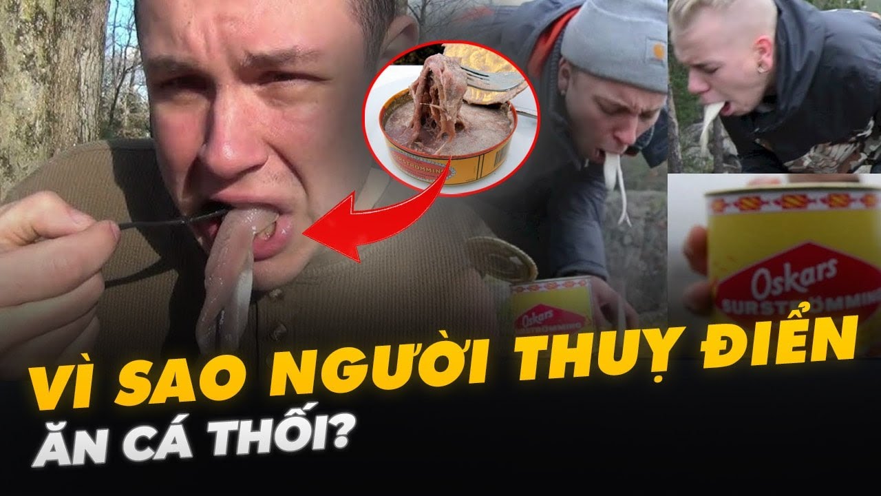 VÌ SAO NGƯỜI THUỴ ĐIỂN ĂN CÁ THỐI?