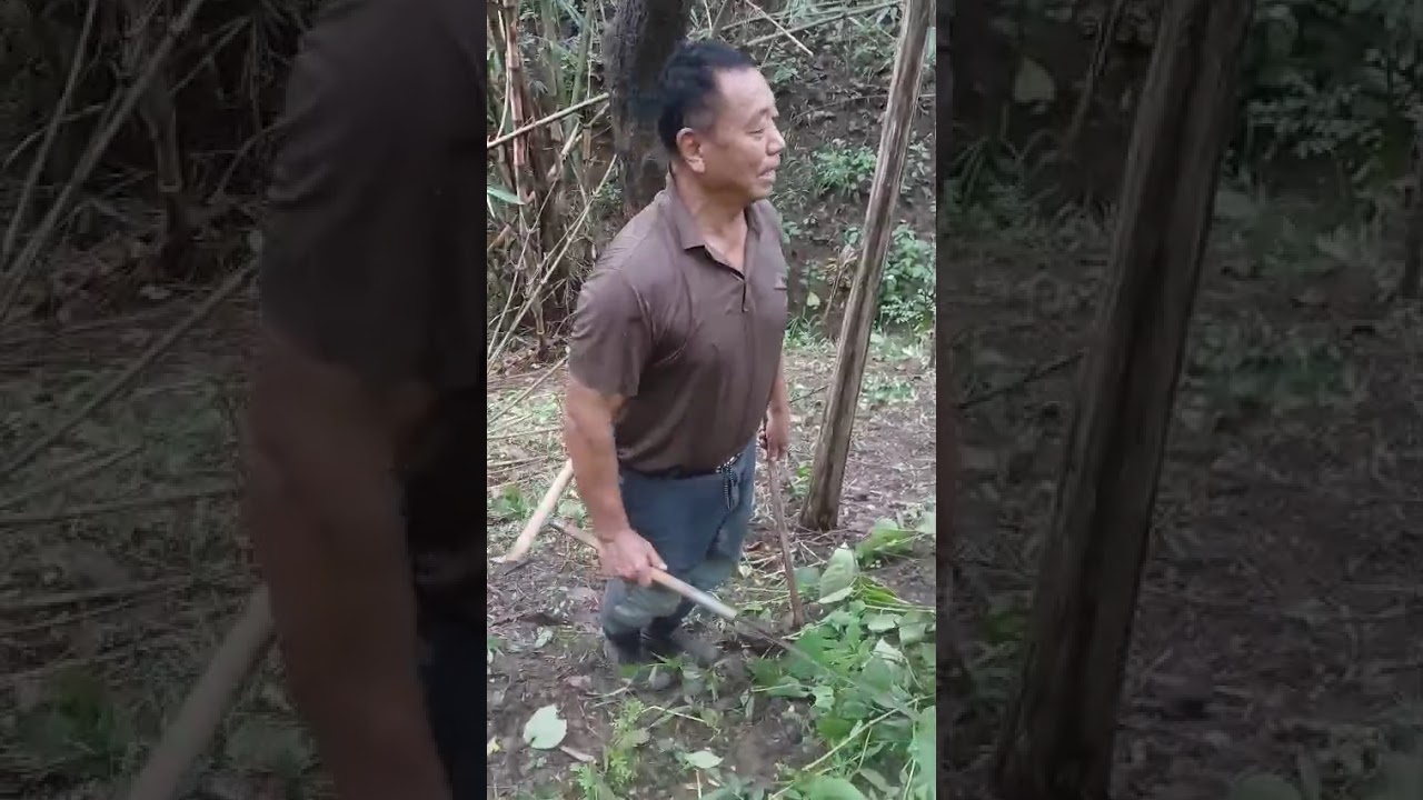 Ketu vlogs.tsiese basa Baptist Church coffee garden.