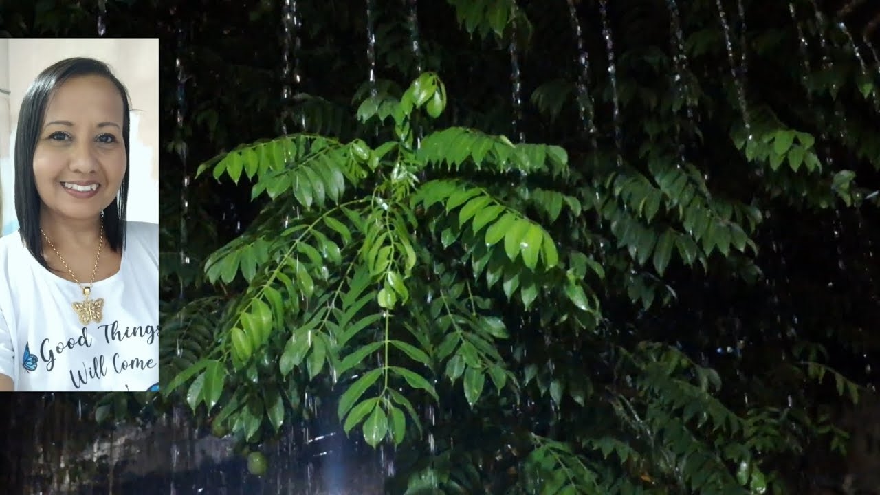 Barulho de Chuva para Dormir e Relaxar  Som de Chuva Forte Vento e Trovoadas à Noite #11 Rain Sounds