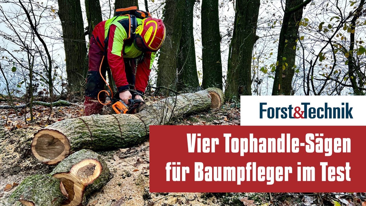 Getestet: vier Akkusägen für die Baumpflege