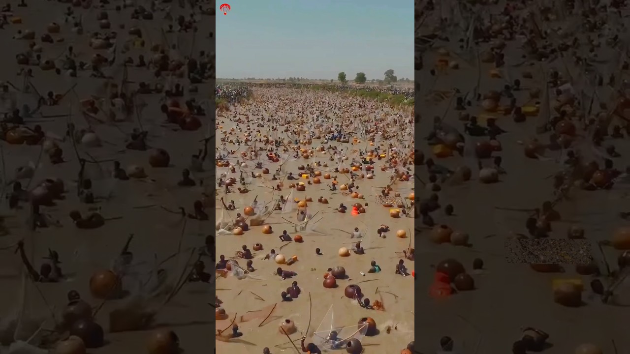 Inside Nigeria's Craziest Fishing Competition | Argungu Festival