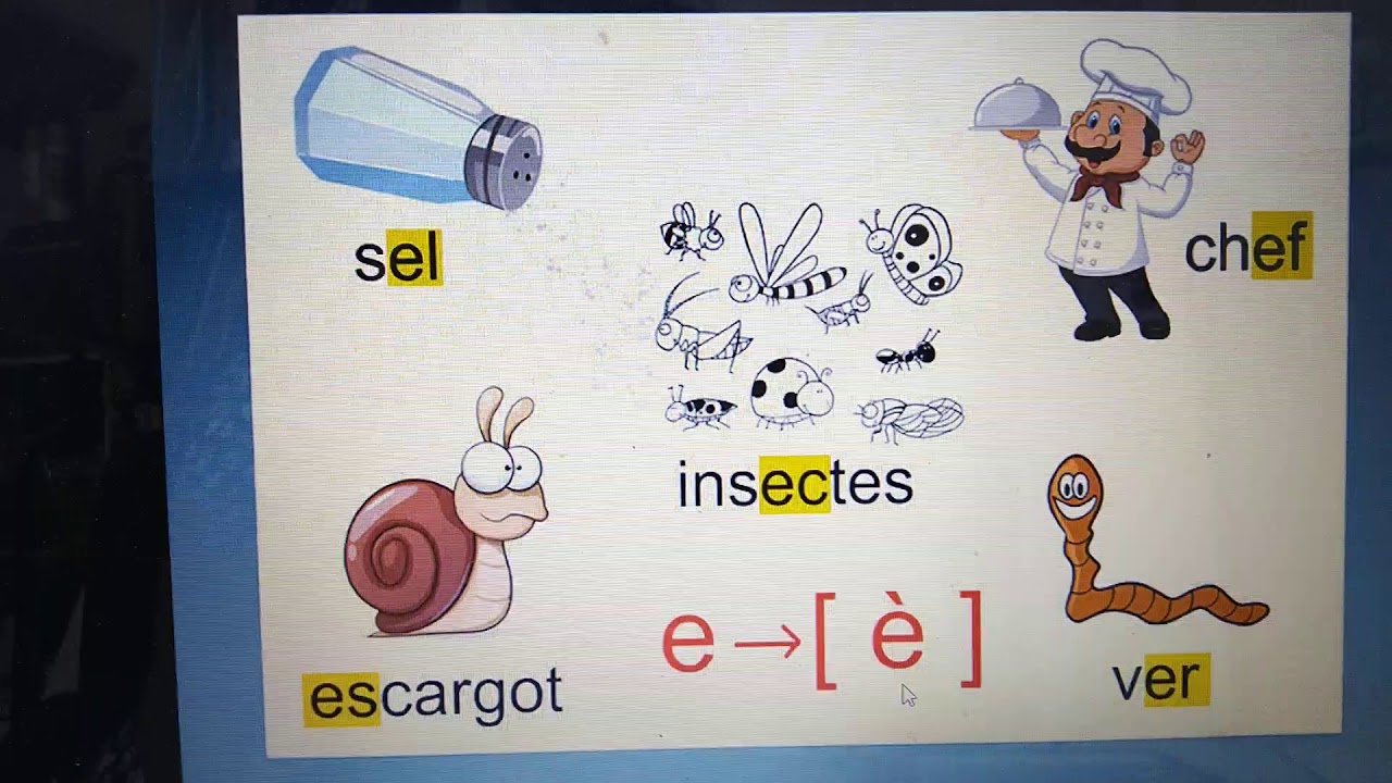 La lettre e fait le son [ è ] 1: er, ec, el, ef, es