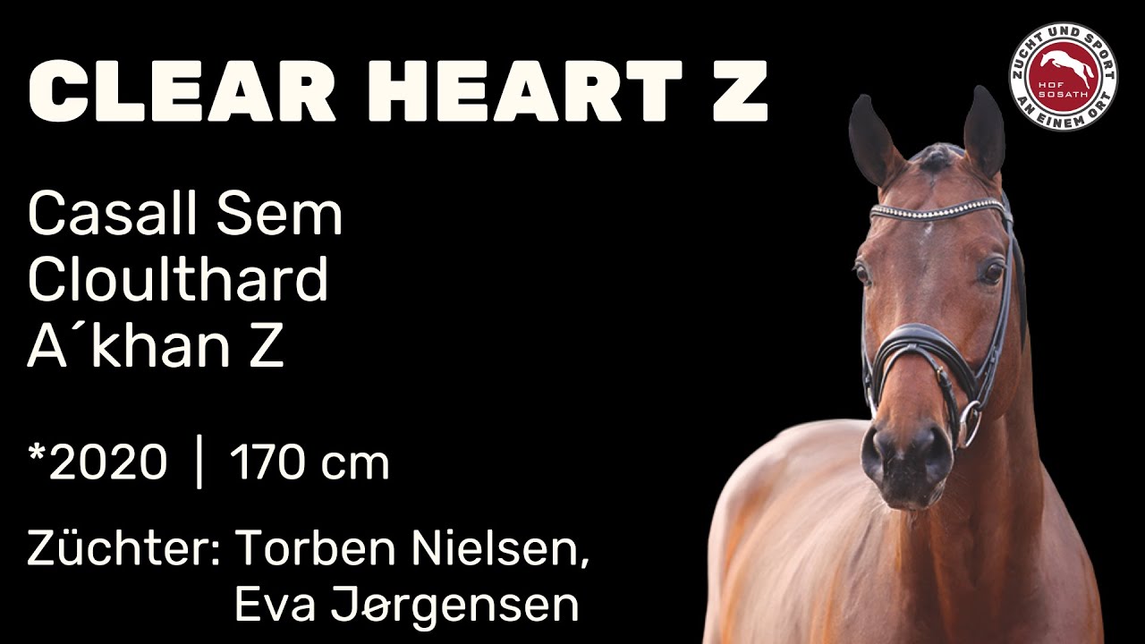 Clear Heart Z *2020 von Casall SEM - 3Q Coulthard