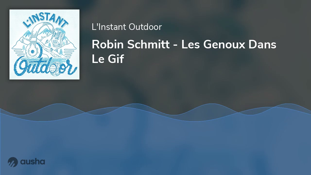 Robin Schmitt - Les Genoux Dans Le Gif