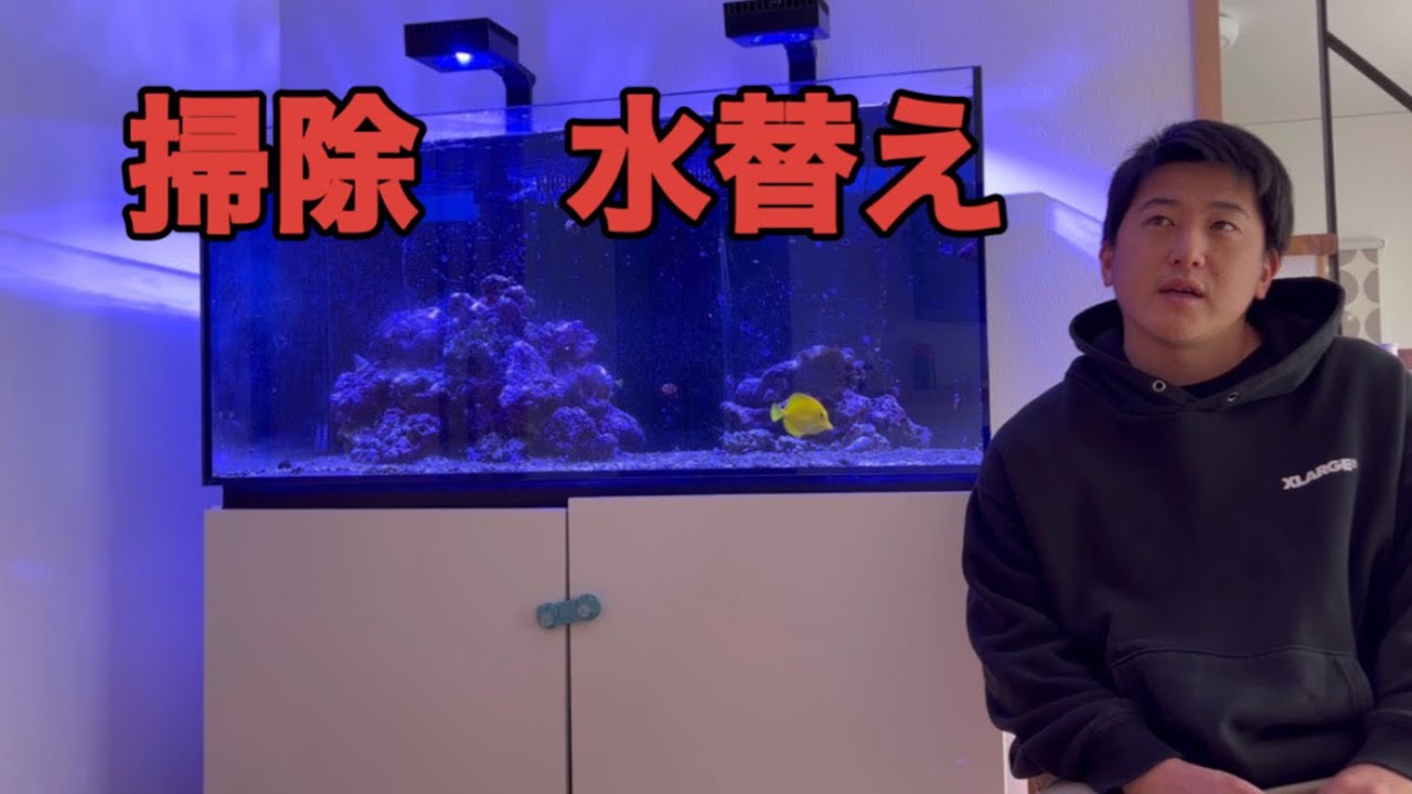 海水水槽〜掃除、水替え〜